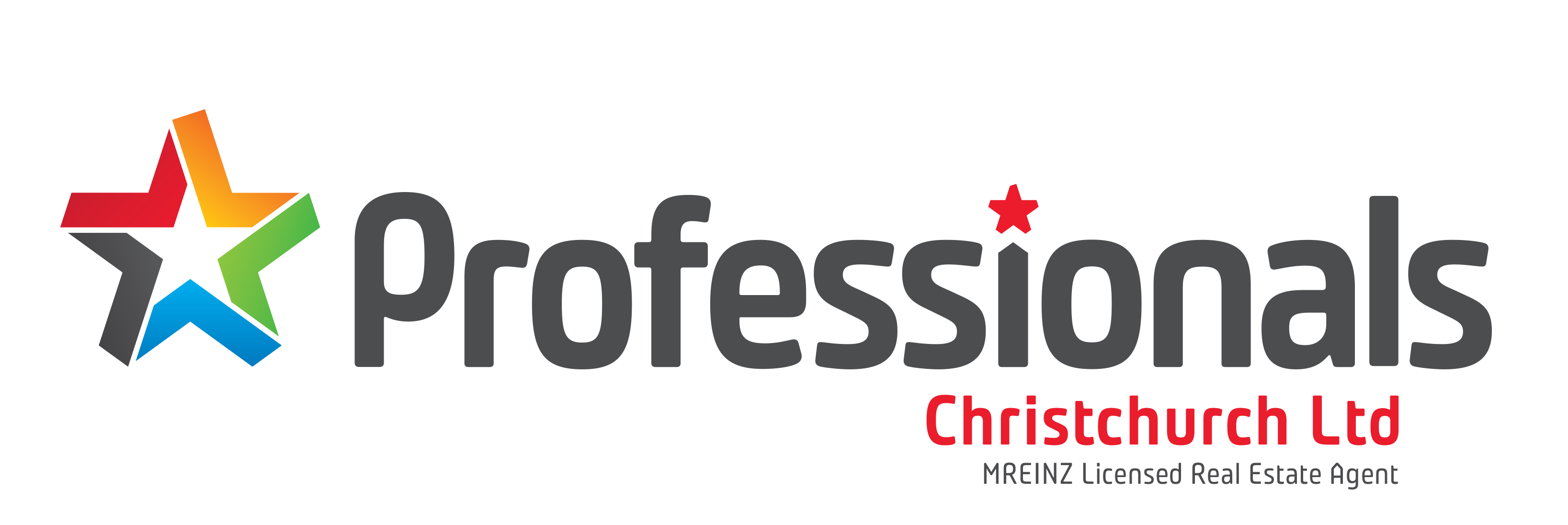Professionals Logo